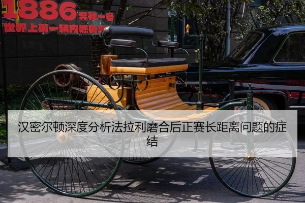 han-mi-er-dun-shen-du-fen-xi-fa-la-li-mo-he-hou-zheng-sai-zhang-ju-li-wen-ti-de-zheng-jie-1-337.jpg