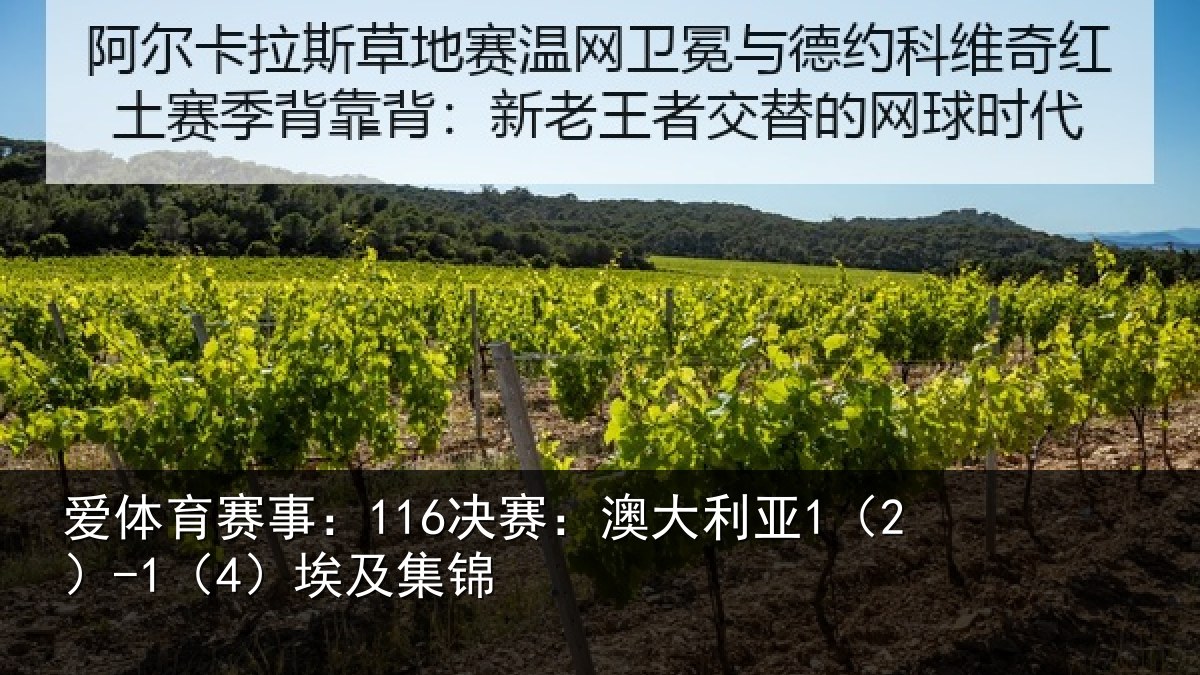 爱体育赛事：116决赛：澳大利亚1（2）-1（4）埃及集锦