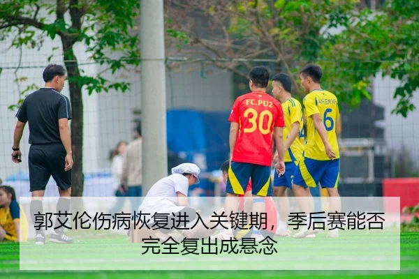 guo-ai-lun-shang-bing-hui-fu-jin-ru-guan-jian-qi-ji-hou-sai-neng-fou-wan-quan-fu-chu-cheng-xuan-nian-2-130.jpg