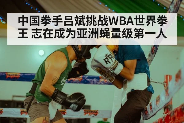中国拳手吕斌挑战WBA世界拳王 志在成为亚洲蝇量级第一人